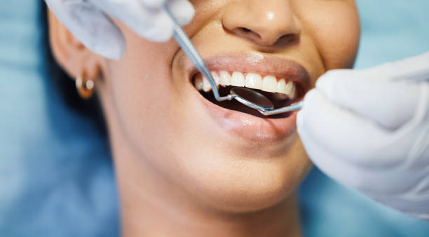 Professional  Dental Services in Bolivar, WV